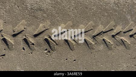 Sotto il sole, le tracce di pneumatici sulla sabbia creano intricati motivi lungo la spiaggia, evidenziando la bassa marea. Foto Stock