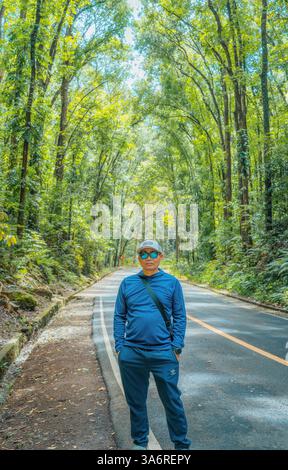 Incantevole foresta artificiale di Bilar a Bohol: Una panoramica tettoia di alberi di mogano con strade serpentine, perfetta per gli amanti della natura e i viaggi su strada Foto Stock