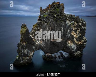 La formazione rocciosa o lavica con la forma di un grande animale che beve acqua dall'oceano. In piedi nel mare a Huna Bay, nel nord dell'islandese Foto Stock
