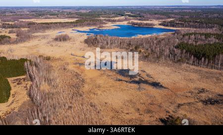 Vista aerea di una palude secca con alberi isolati impatto sui cambiamenti climatici e sulla deforestazione 20 Foto Stock