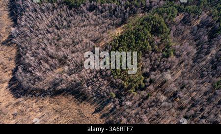 Vista aerea di una palude secca con alberi isolati impatto sui cambiamenti climatici e sulla deforestazione 20 Foto Stock