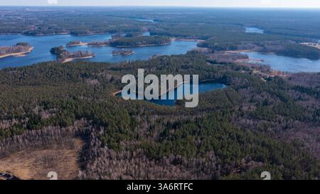 Vista aerea di una palude secca con alberi isolati impatto sui cambiamenti climatici e sulla deforestazione 20 Foto Stock