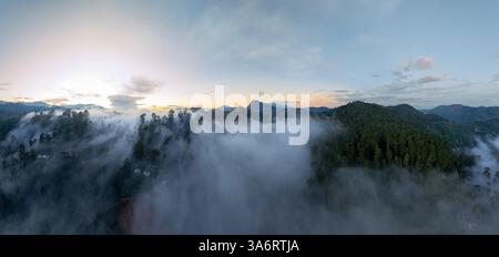 Un paesaggio mozzafiato nella foresta nebbiosa vicino a Ella, Sri Lanka, con lussureggianti colline verdi, fitti alberi tropicali e nebbia ondulata che creano un'atmosfera mistica Foto Stock