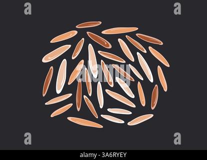 Set di cereali per riso. Vettoriale diverso rosso, marrone, bianco semi isolati su sfondo nero. Cibo vegetariano biologico selvatico. Sake prodotto naturale Illustrazione Vettoriale