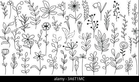 Collezione di disegni di fiori ed erbe selvatiche. Ramoscelli vari, lame d'erba, fiori, gemme, erbe aromatiche, clip art rustica. Set di elementi botanici con contorno inchiostro. Illustrazione Vettoriale