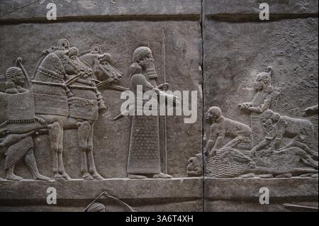 Pannello di scultura in bassorilievo assiro raffigurante la caccia al leone di re Ashurnasirpal. Da Ninive North Palace, Iraq, 668-627 a.C. British Museum Assyri Foto Stock