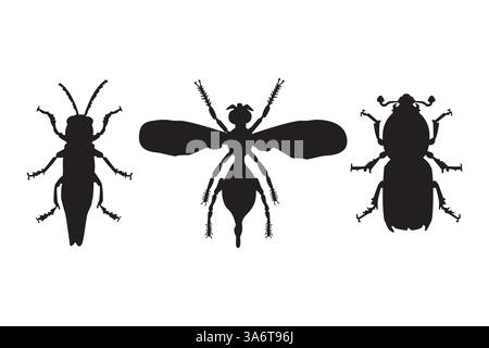 Set di diverse silhouette di insetti. Forma nera insetto. Icona Beetle. Elemento di progettazione per entomologia, botanica o biologia per poster, volantini o copertina di libri. Vettore Illustrazione Vettoriale