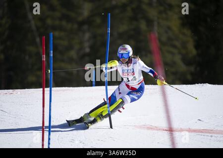 14 febbraio 2015 - Beaver Creek, Colorado, U. S - CHARLOTTE CHABLE della Svizzera gareggia durante la seconda prova nello Slalom femminile durante il Campionato del mondo di sci alpino 2015 FIS. (Immagine di credito: © Jason Connolly/ZUMA Wire/ZUMAPRESS.com) Foto Stock