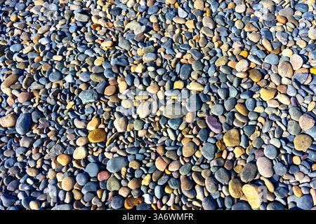 Vista ravvicinata di una varietà di ciottoli e pietre colorate sparse su una spiaggia, mostrando diverse dimensioni, texture e superfici lisce con vivaci h Foto Stock