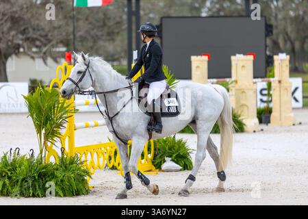 Una donna cavalca un bellissimo cavallo bianco davanti a una recinzione gialla Foto Stock