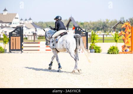 Giovane donna che cavalca un bel cavallo bianco Foto Stock