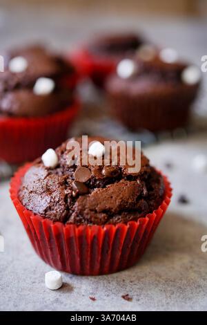 Muffin alla cioccolata calda fatti in casa con mini marshmallow, concentrazione selettiva Foto Stock