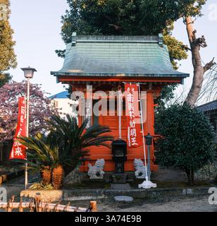 Un piccolo santuario vermiglio che ospita una statua della divinità buddista Fudomyo-o, o l'immobile Re della saggezza. Anche se si trova all'interno dei terreni di Ryuge- Foto Stock