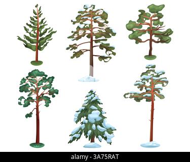 Insieme di conifere vettoriali isolate. Pino o abete, abete rosso o cedro. Simbolo della natura Evergreen. Silvicoltura e ecosistema, conservazione dell'ambiente. Illustrazione Vettoriale