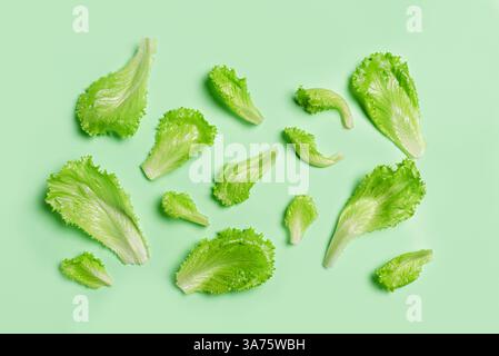 Le foglie di lattuga fresca sono piatte su sfondo verde pastello, vista dall'alto. Foto Stock