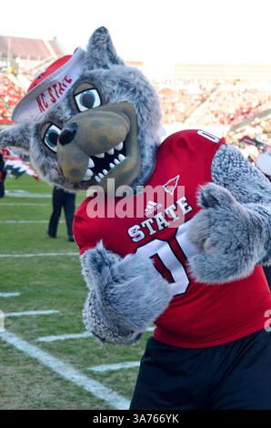 10 novembre 2012 - Raleigh, North Carolina, Stati Uniti - North Carolina State Wolfpack durante la partita di oggi. NC State sconfigge Wake Forest 37-6 al Carter-Finley Stadium di Raleigh, North Carolina. (Immagine di credito: © Anthony Barham/ZUMAPRESS.com) Foto Stock