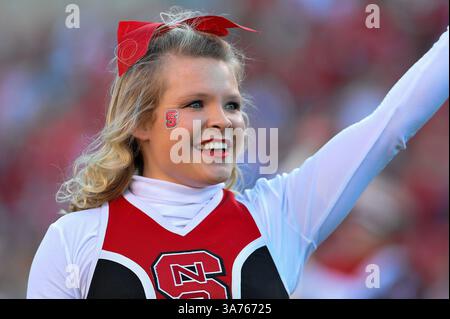 10 novembre 2012 - Raleigh, North Carolina, Stati Uniti - North Carolina State Wolfpack cheerleader durante la partita di oggi. NC State sconfigge Wake Forest 37-6 al Carter-Finley Stadium di Raleigh, North Carolina. (Immagine di credito: © Anthony Barham/ZUMAPRESS.com) Foto Stock