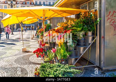 Un piccolo negozio di fiori si trova su una tradizionale strada portoghese con pavimentazione in piastrelle nel centro di Lisbona, quartiere di Baixa in Portogallo. Foto Stock