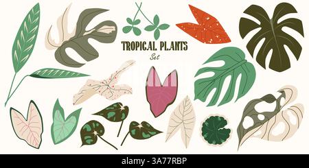 Collezione di foglie tropicali in un moderno stile botanico piatto. Esotici Monstera, Caladium, Begonia, Ctenanthe, Aralia Balfour. Set di piante della giungla Illustrazione Vettoriale