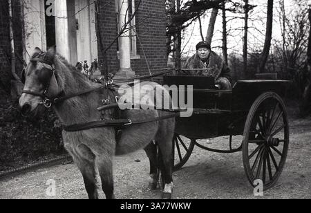 1930, storica, Cecilia Nina Bowes-Lyon, Contessa di Strathmore e Kinghorn, seduta su un vialetto di ghiaia fuori da una casa in una trappola e pony. Membro della nobiltà britannica, era la madre della regina Elisabetta (la regina madre) e nonna della regina Elisabetta II Foto Stock