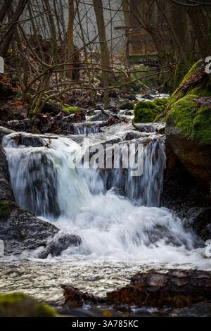 serena cascata in una foresta muschiata Foto Stock