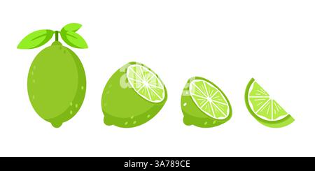 Set con frutta lime intera e tagliata a fette con foglie e fiori Illustrazione Vettoriale