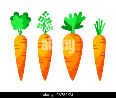 Carota con congedo. Carote pasquali. Verdure, cibo sano o vegano. Illustrazione vettoriale Illustrazione Vettoriale