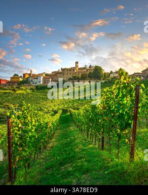 Vigneti delle Langhe e villaggio di Neive sullo sfondo. Provincia di Cuneo, regione Piemonte, Italia, Europa Foto Stock