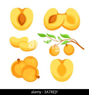 Albicocche con foglia e mezza albicocca con foglie. Set di frutta a cartoni animati. Illustrazione Vettoriale