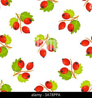 Motivo senza cuciture con rami di bacche di biancospino maturo e foglie verdi su sfondo bianco Illustrazione Vettoriale