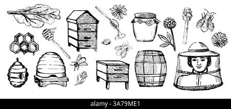 Schizzo di alveare, barattoli di miele, vasi, cucchiaio di api e gocciolatore. Apicoltore, pettine. Disegno vintage per la produzione di miele isolato su sfondo bianco. Illustrazione Vettoriale