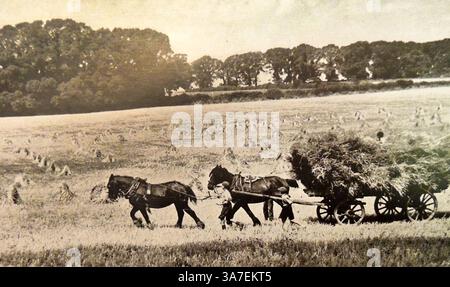 Immagini della Gran Bretagna negli anni '1940 - raccolta di mais con cavallo e carro nel Sussex nel Regno Unito nel 1940 Foto Stock