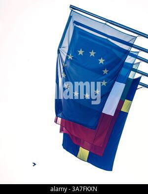 Colomba di pace, bandiera dell'Unione europea e bandiere nazionali degli stati membri che mostrano unità Foto Stock