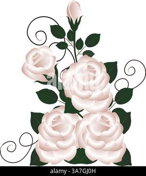 Un bouquet di rose su sfondo bianco. Illustrazione Vettoriale