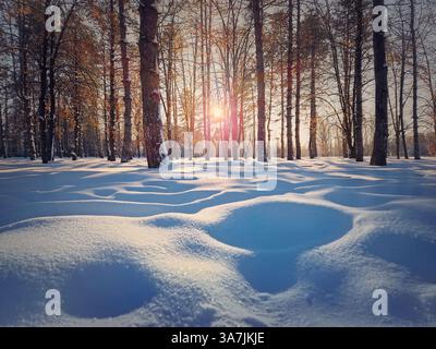 Una splendida giornata nel parco invernale coperto da neve bianca e soffice scintillante alla luce del tramonto Foto Stock