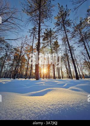 Vista panoramica del parco invernale coperto da neve bianca e soffice scintillante alla luce dorata del tramonto Foto Stock