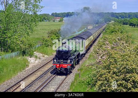 L'escursione al Porto di Portsmouth da Shoeburyness è visibile passando per la foresta di Southleigh a nord del Castello di Rowlands. La locomotiva è Mayflower. Foto Stock