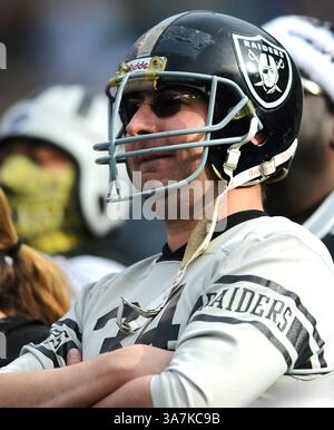 23 dicembre 2012 - Charlotte, NC, USA - Un fan dei Raiders guarda Oakland giocare i Carolina Panthers durante il secondo quarto al Bank of America Stadium domenica 23 dicembre 2012, a Charlotte, Carolina del Nord. I Carolina Panthers sconfissero gli Oakland Raiders, 17-6. (Immagine di credito: © Jeff Siner/MCT/ZUMAPRESS.com) Foto Stock