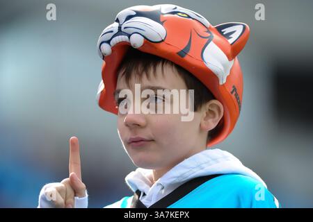 23 dicembre 2012 - Charlotte, North Carolina, U. S - Un fan dei Panther prima di una partita NFL tra gli Oakland Raiders e i Carolina Panthers al Bank of America Stadium. (Immagine di credito: © Shane Roper/ZUMAPRESS.com) Foto Stock