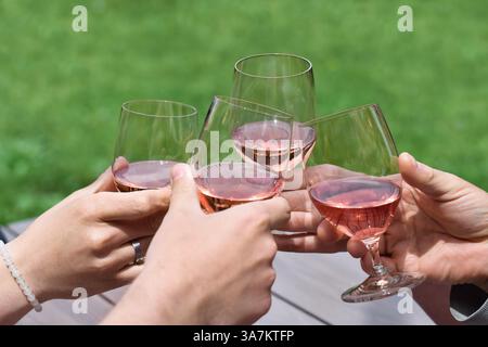 Gruppo di persone che brindano con bicchieri di vino Foto Stock