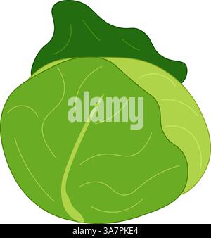 Illustrazione piatta del cartone animato a colori di cavolo. Icona vegetale verde vettoriale. Sfondo vegetale per striscioni, stampa per tessuti, etichette, stampa di t-shirt. A. Illustrazione Vettoriale