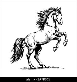 Illustrazione dinamica in bianco e nero del cavallo allevato con una criniera dettagliata Illustrazione Vettoriale