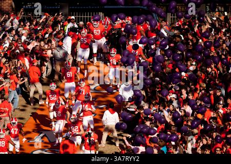 17 novembre 2012 - Clemson, South Carolina, Stati Uniti d'America - 17 novembre 2012: I Clemson Tigers corrono giù per la collina prima della partita North Carolina State vs Clemson al Memorial Stadium di Clemson, SC. Clemson ha sconfitto North Carolina State 62-48.(Credit Image: © Jake Drake/Cal Sport Media/ZUMAPRESS.com) Foto Stock
