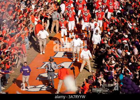17 novembre 2012 - Clemson, South Carolina, Stati Uniti d'America - 17 novembre 2012: I Clemson Tigers corrono giù per la collina prima della partita North Carolina State vs Clemson al Memorial Stadium di Clemson, SC. Clemson ha sconfitto North Carolina State 62-48.(Credit Image: © Jake Drake/Cal Sport Media/ZUMAPRESS.com) Foto Stock