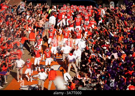 17 novembre 2012 - Clemson, South Carolina, Stati Uniti d'America - 17 novembre 2012: I Clemson Tigers corrono giù per la collina prima della partita North Carolina State vs Clemson al Memorial Stadium di Clemson, SC. Clemson ha sconfitto North Carolina State 62-48.(Credit Image: © Jake Drake/Cal Sport Media/ZUMAPRESS.com) Foto Stock