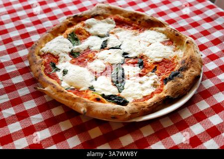 pizza margherita su tovaglia a scacchi Foto Stock