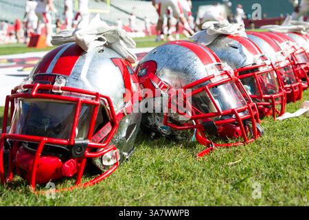 20 ottobre 2012: I caschi dei Rutgers Scarlet Knights si trovano sul campo prima della partita NCAA tra i Rutgers Scarlet Knights e i Temple Owls al Lincoln Financial Field di Philadelphia, Pennsylvania. (Immagine di credito: © Chris Szagola/Cal Sport Media/ZUMAPRESS.com) Foto Stock