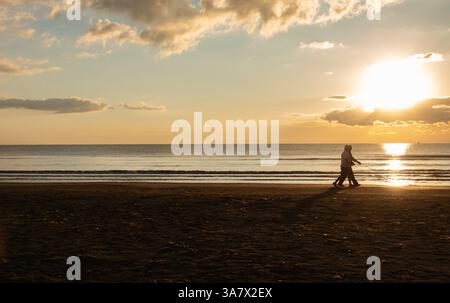 Coppie anziane che si godono una tranquilla passeggiata lungo la riva mentre il sole sorge sull'oceano. Stile di vita sano. Persone attive all'aperto Foto Stock