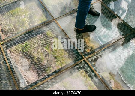 Passerella in vetro alla scogliera di Cabo Girao a Madeira con una spettacolare vista dell'oceano e del verde sottostante, una persona in piedi sulla piattaforma trasparente. Foto Stock