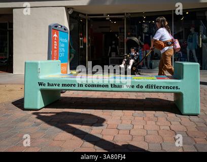Una madre spinge un passeggino oltre una panchina verde brillante che parla di avere più in comune che differenze su N. Palm Canyon Drive. Foto Stock